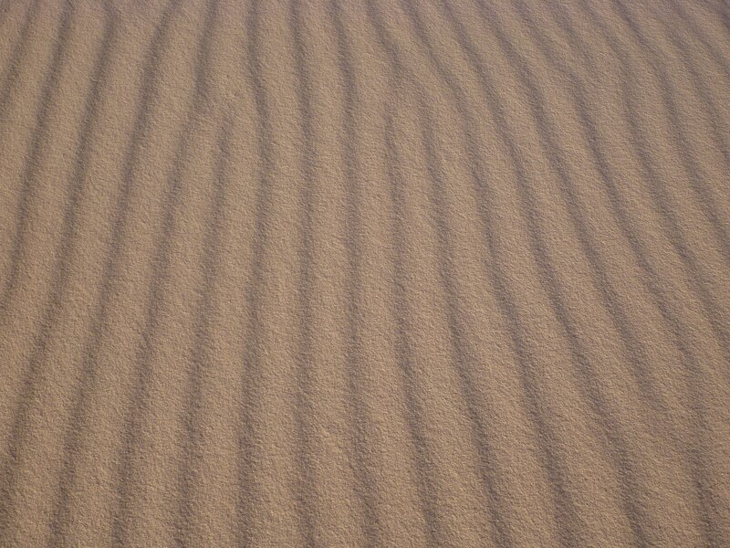 Sand Dune Ripples — Brown