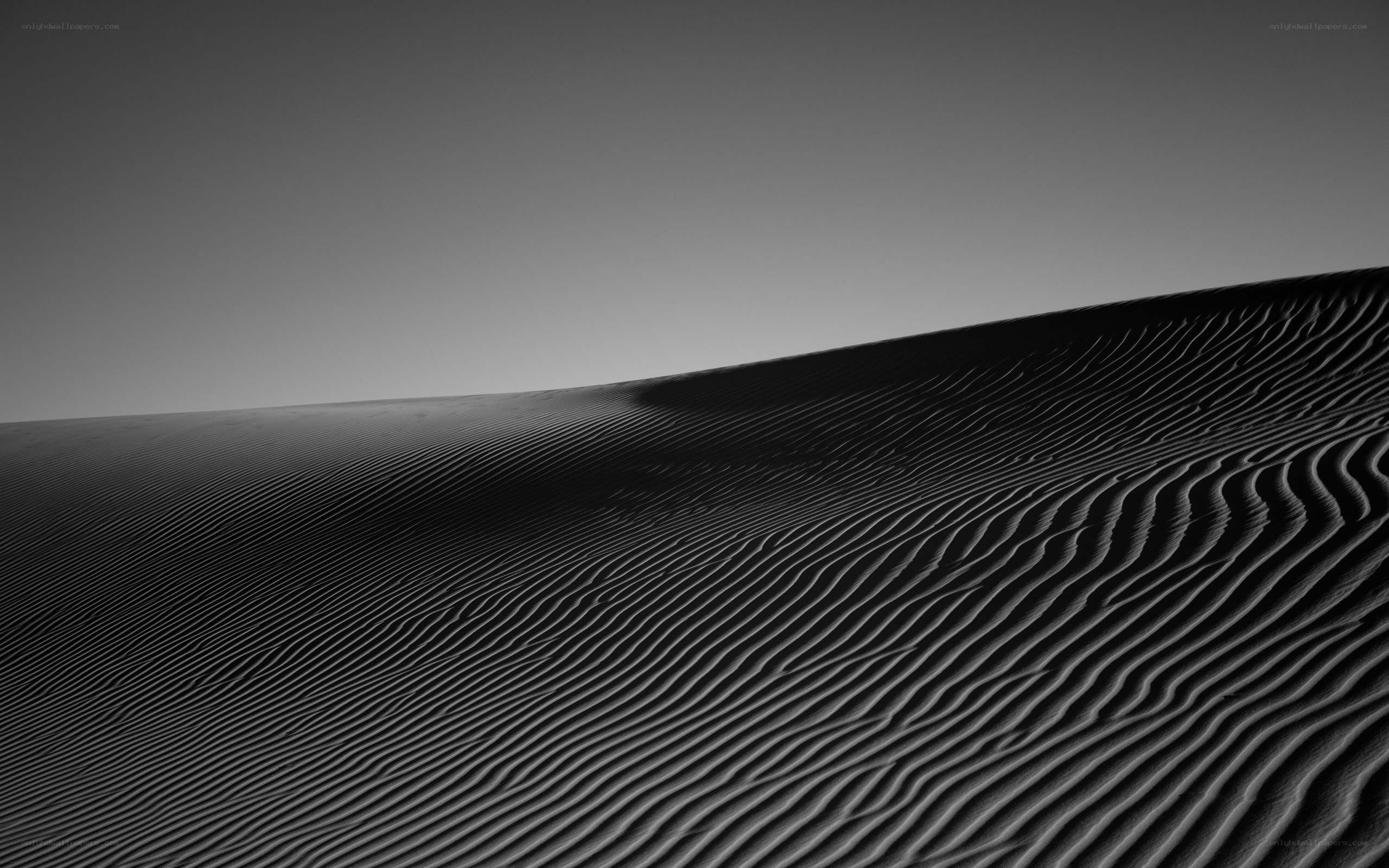 Sand dune ripples in monochrome
