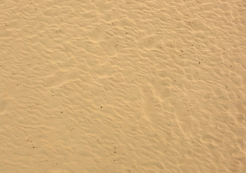 Sand Dune Surface
