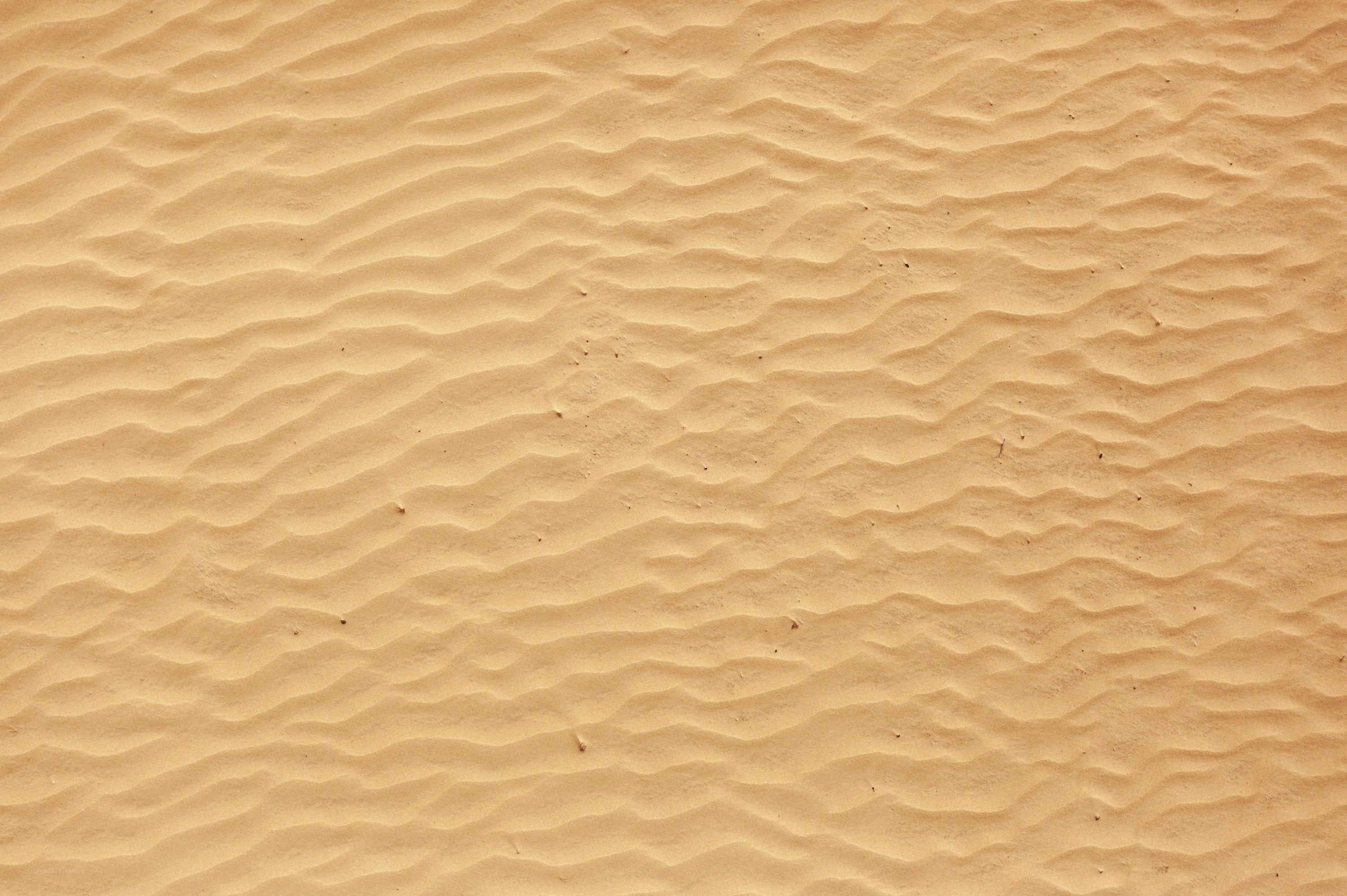 sand dune texture