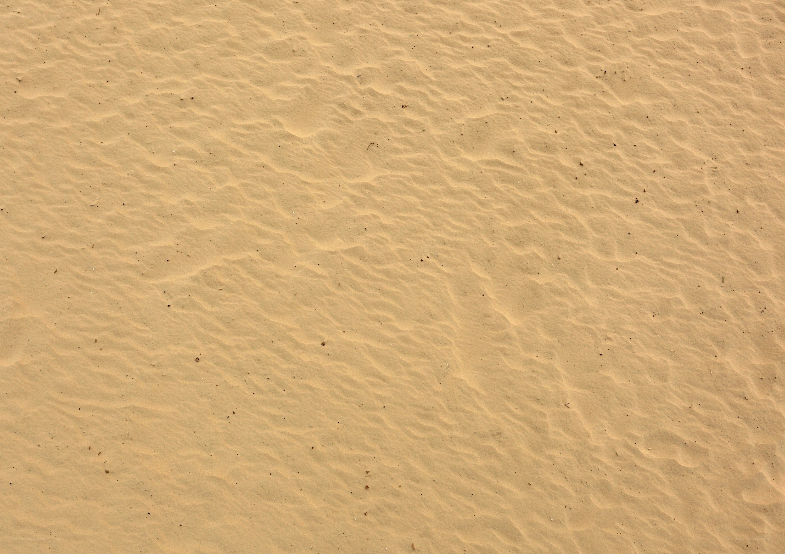 sand dune texture