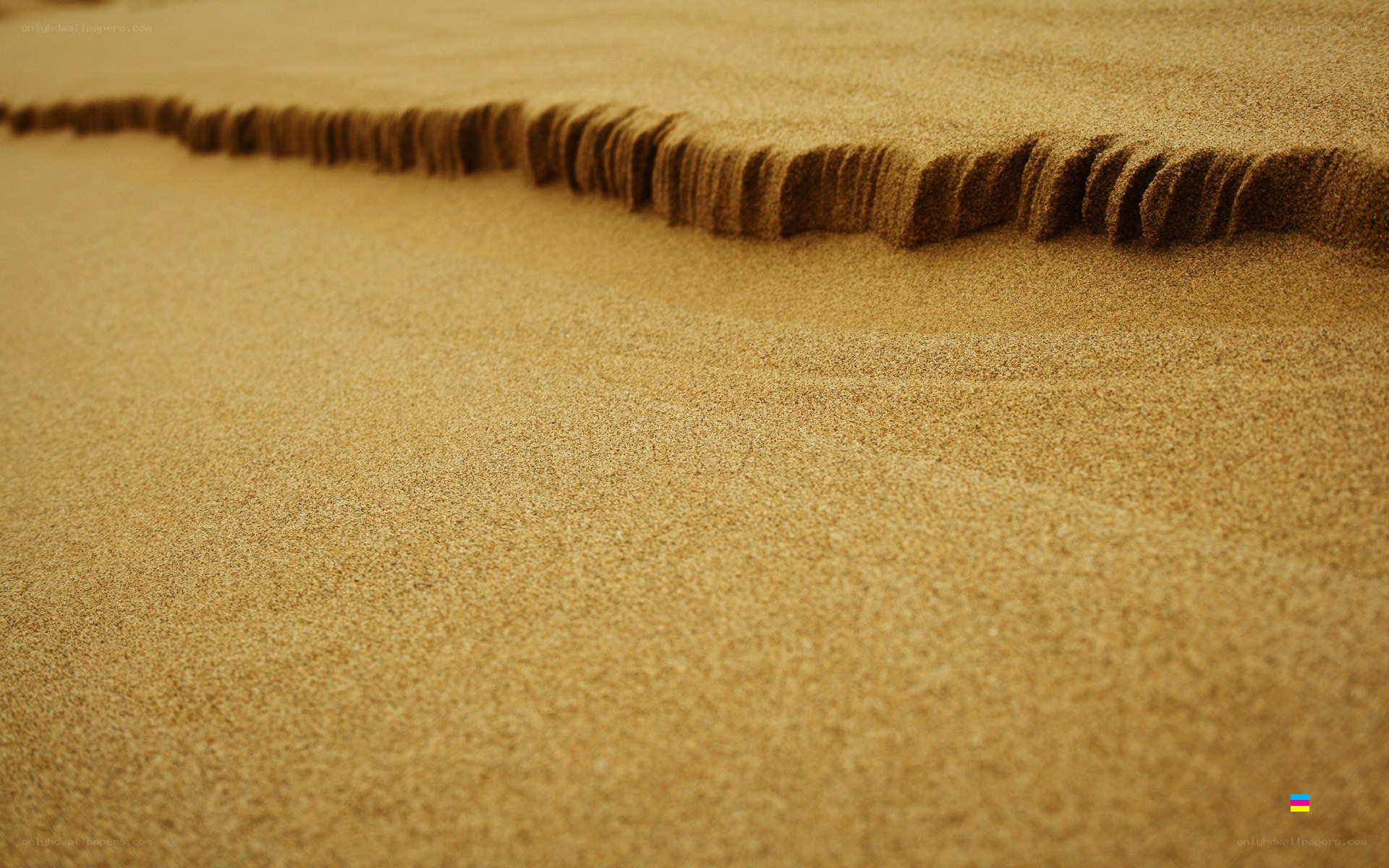 sand dune texture close-up
