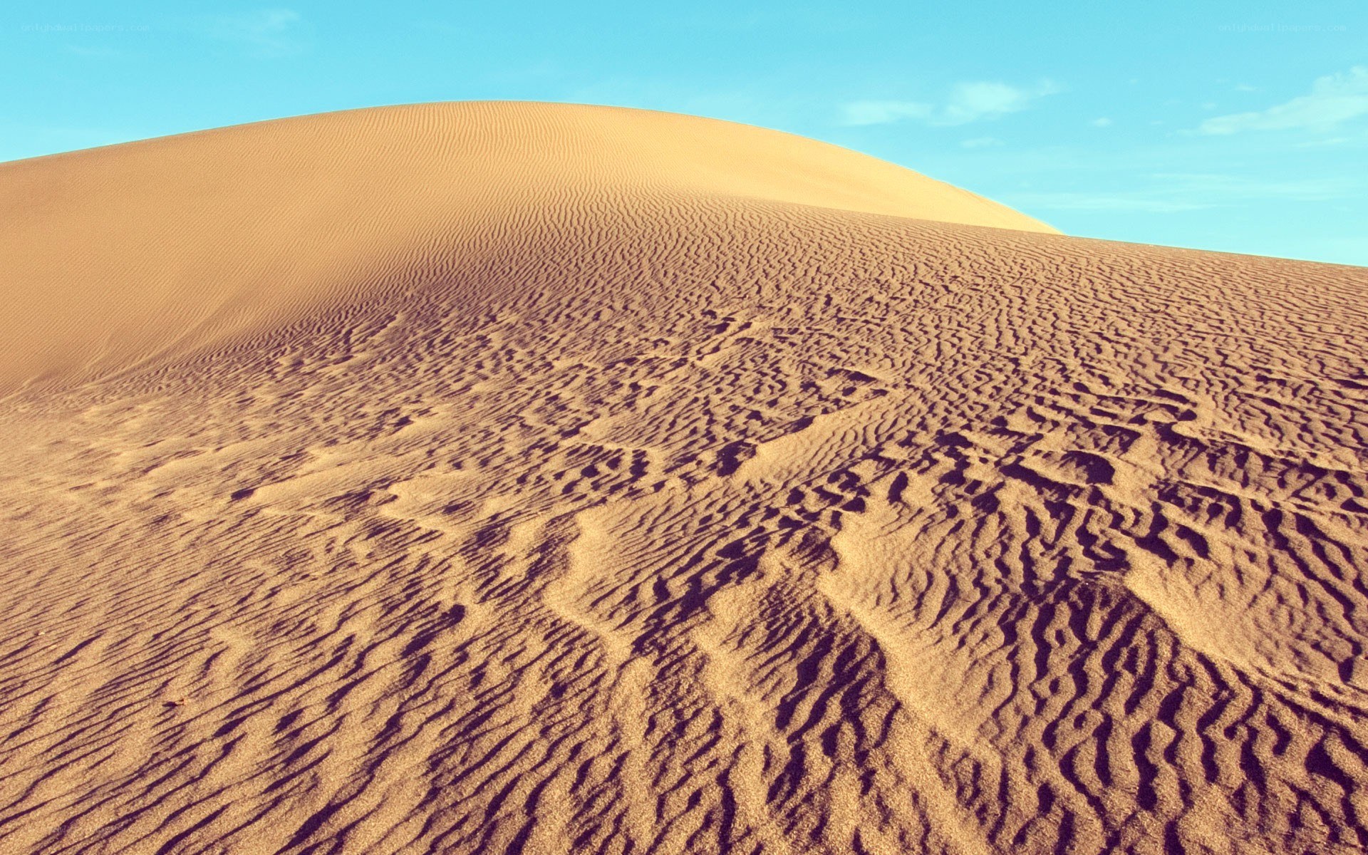 sand dune under blue sky