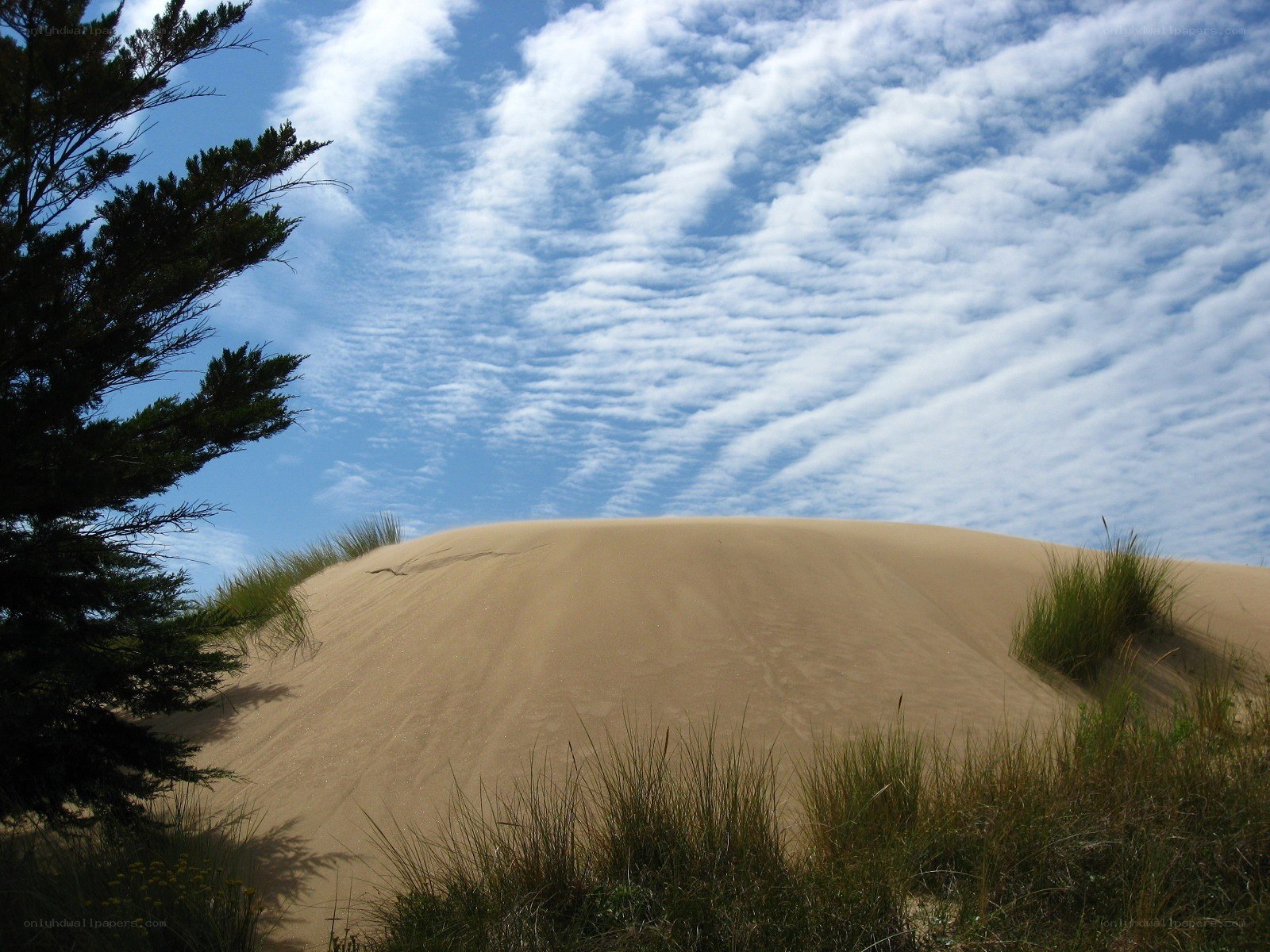 Sand dune under cloudy sky