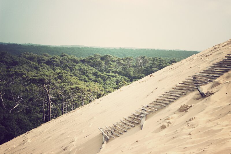 Sand dune with forest view