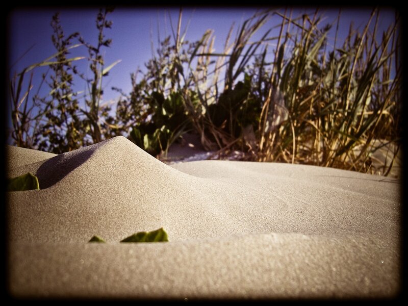 Sand Dune with Grass — Beige