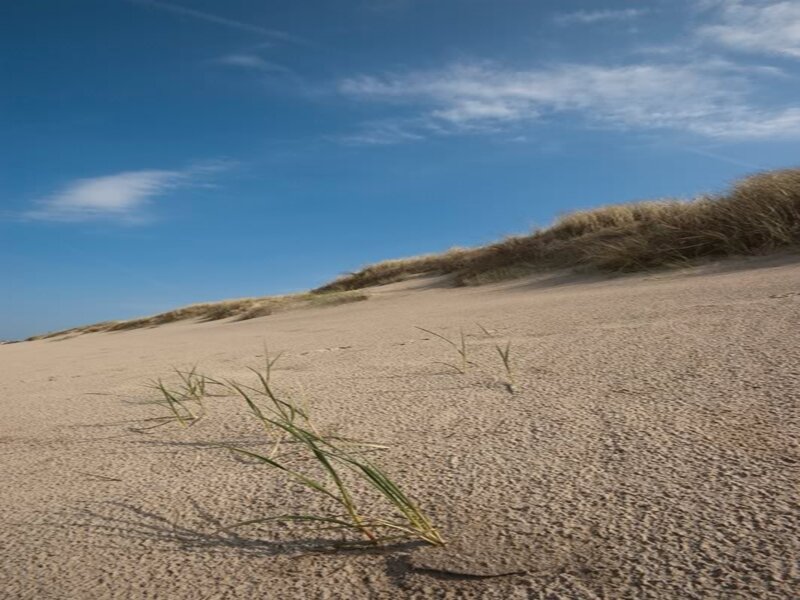 Sand Dune with Grass — Blue