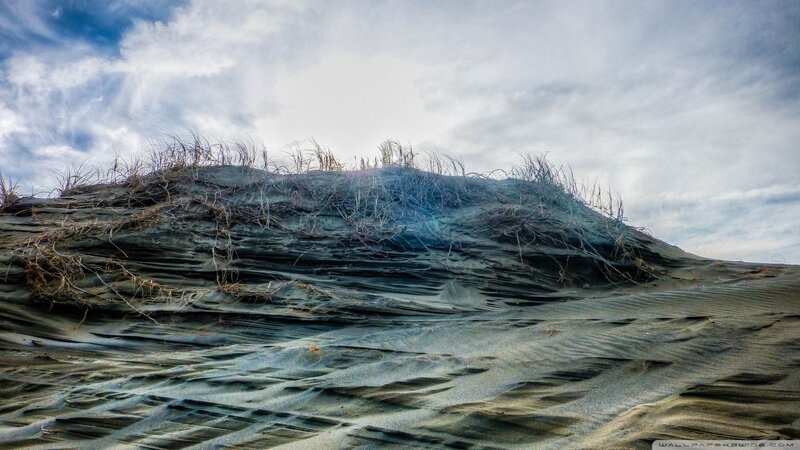 Sand Dune with Grass — Gray, Dramatic, Photograph