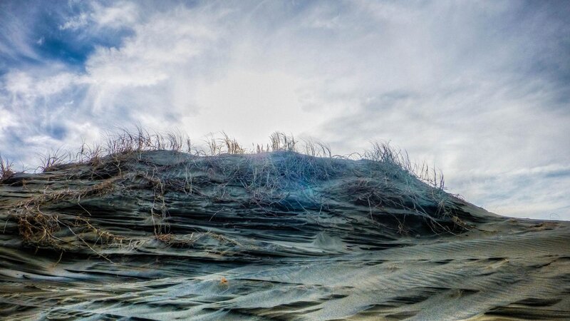 Sand Dune with Grass — Gray, Dramatic