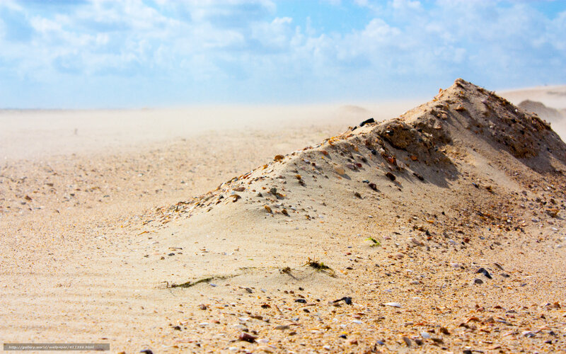 Sand Dune with Shells