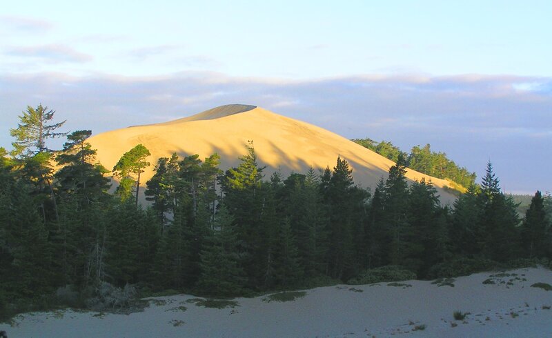 Sand Dune with Trees