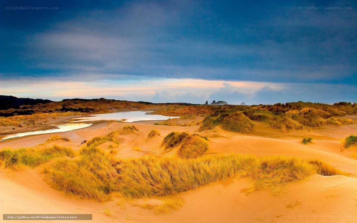 Sand dunes and coastal marsh