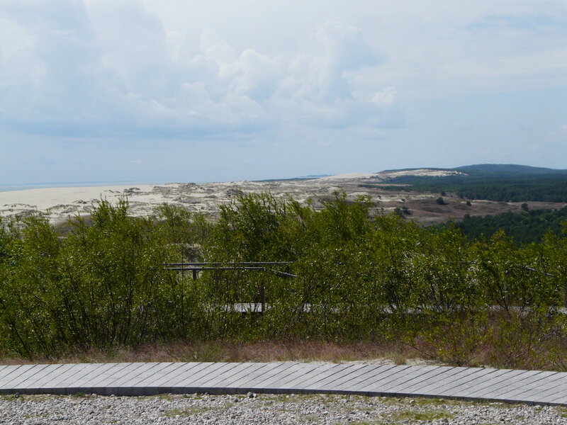 Sand Dunes and Forest — Green