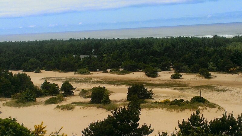 Sand Dunes and Forest