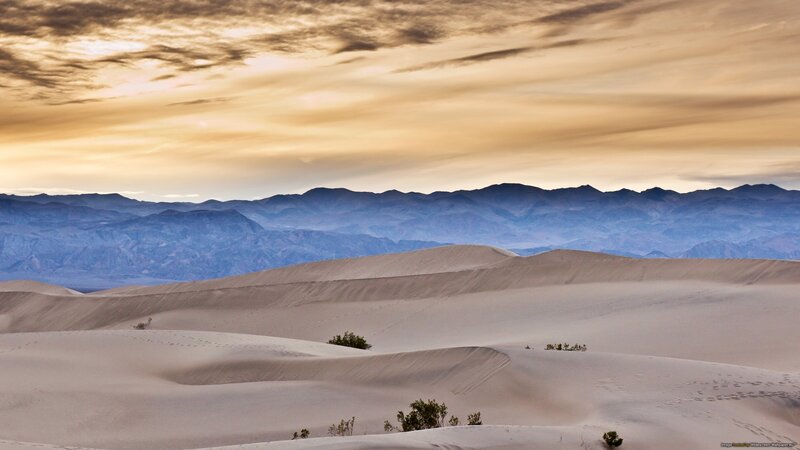 Sand Dunes and Mountains — Beige
