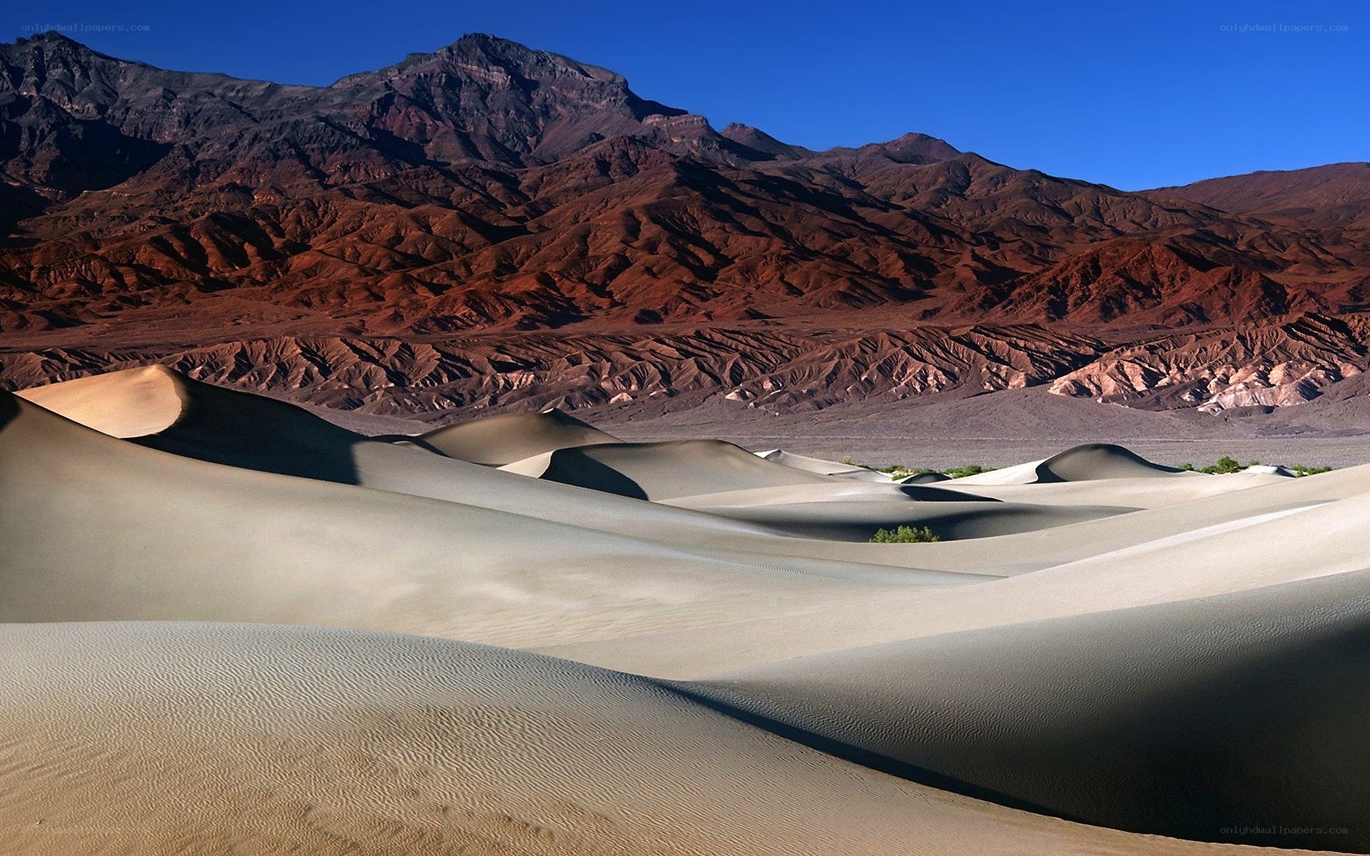 sand dunes and mountains