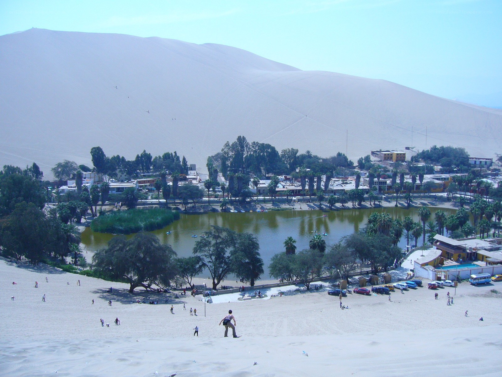 Sand dunes and oasis in Peru