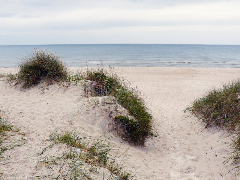 Sand Dunes at Beach — Beige, Calm