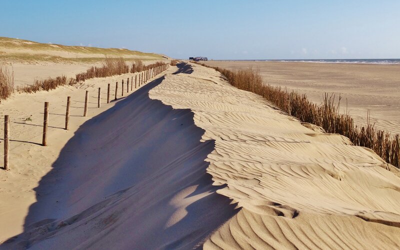 Sand Dunes at Beach — Beige, Serene