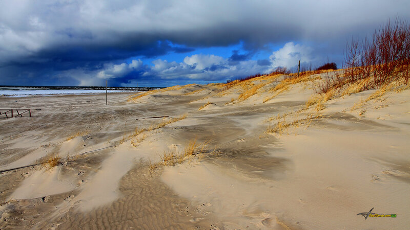 Sand Dunes at Beach — Blue