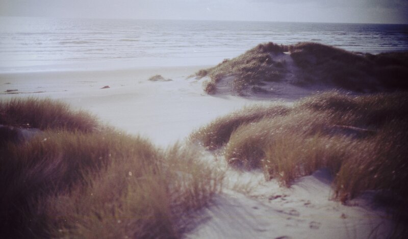 Sand Dunes at Beach — Brown, Serene, Afternoon