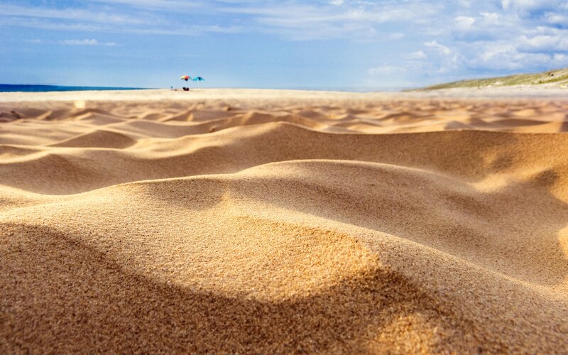 Sand Dunes at Beach — Brown