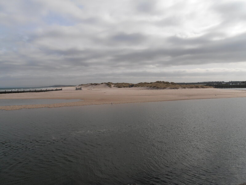 Sand Dunes at Beach — Gray