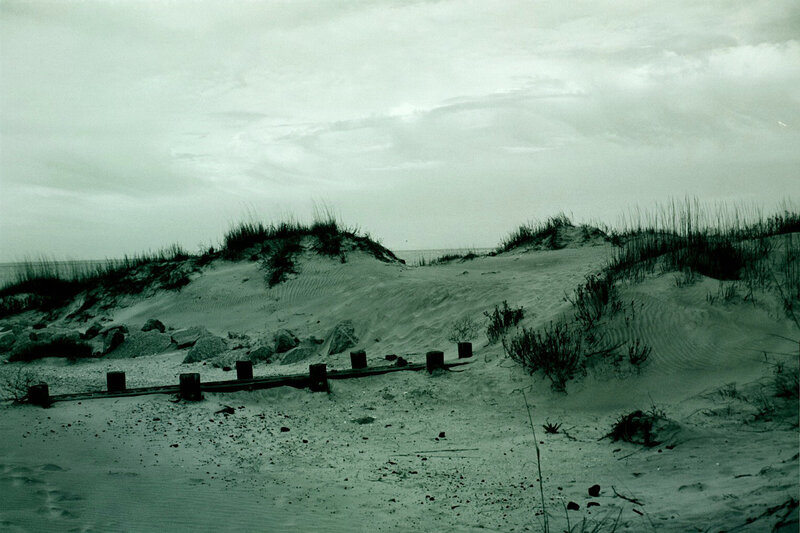 Sand Dunes at Beach — Green