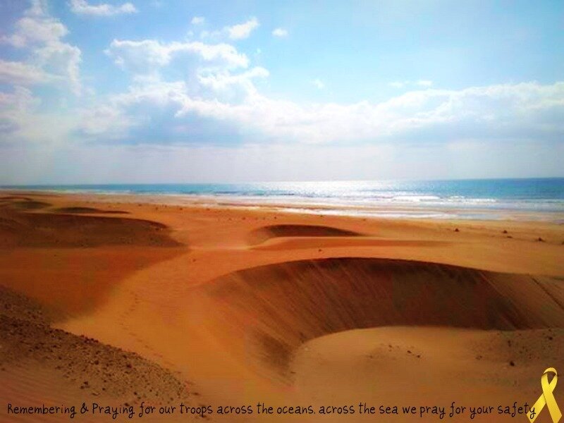 Sand Dunes at Beach