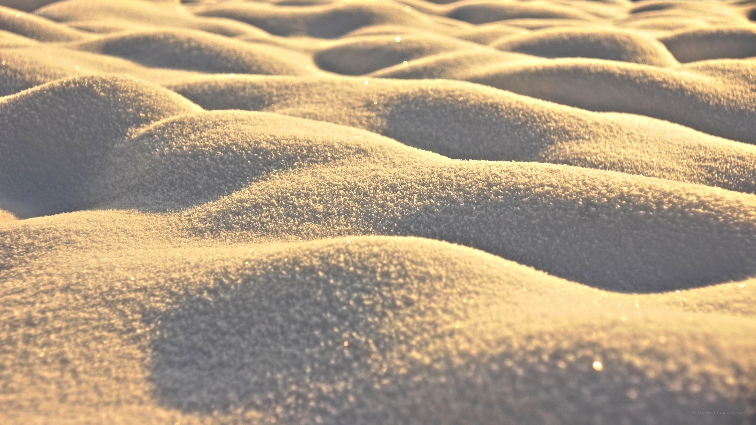 sand dunes at sunrise