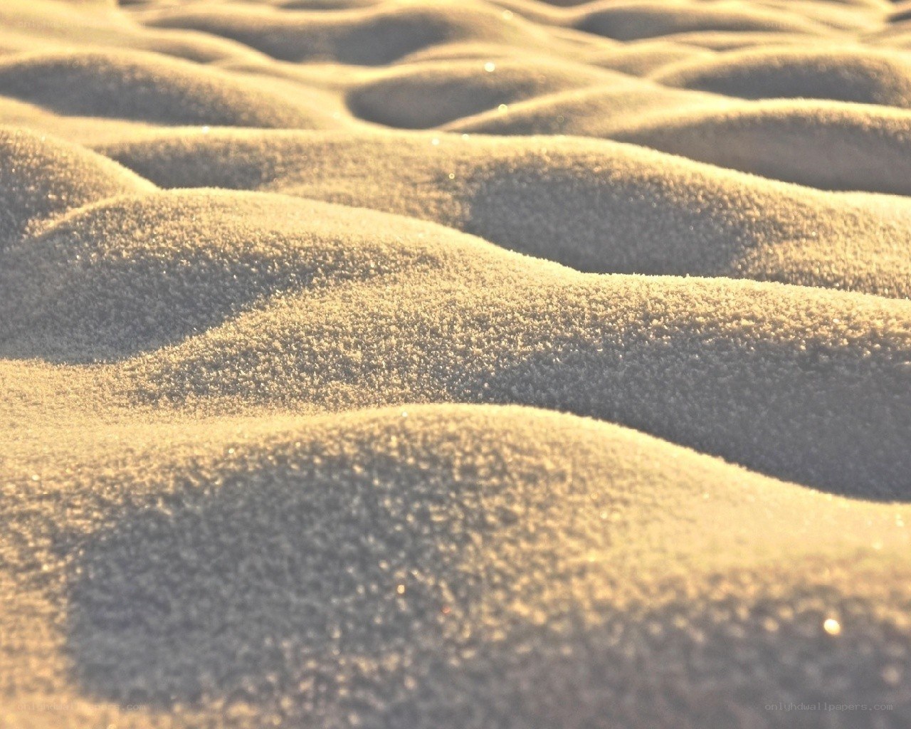 sand dunes at sunrise