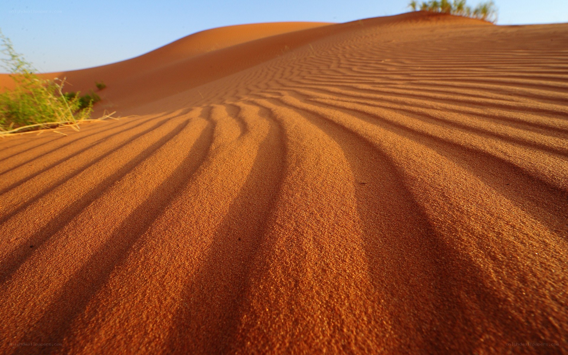 sand dunes at sunrise