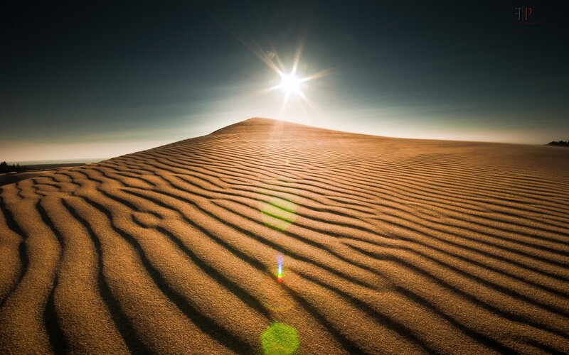 Sand Dunes at Sunrise — Brown