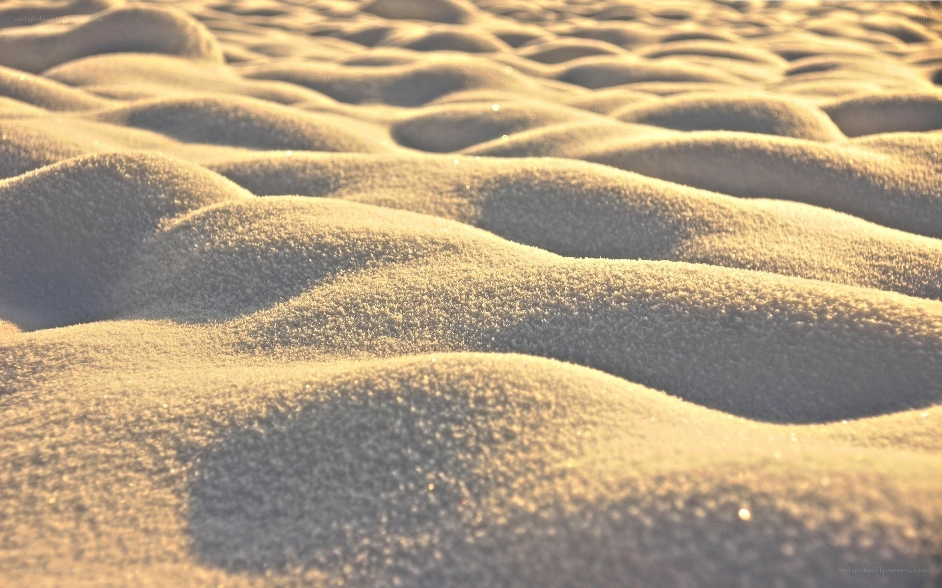 sand dunes at sunrise