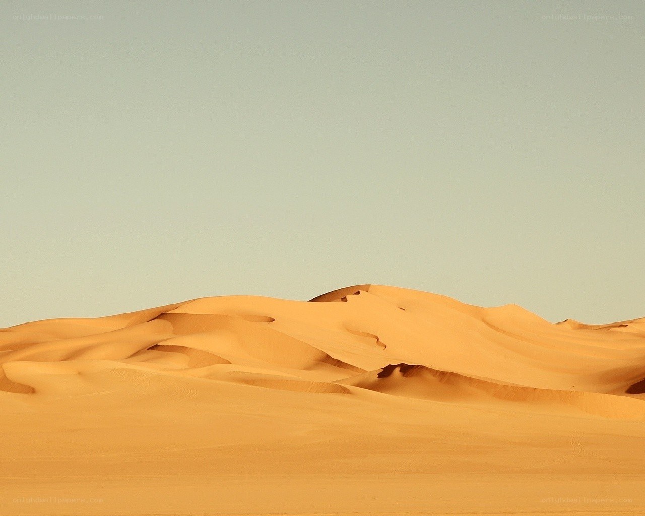 sand dunes at sunset
