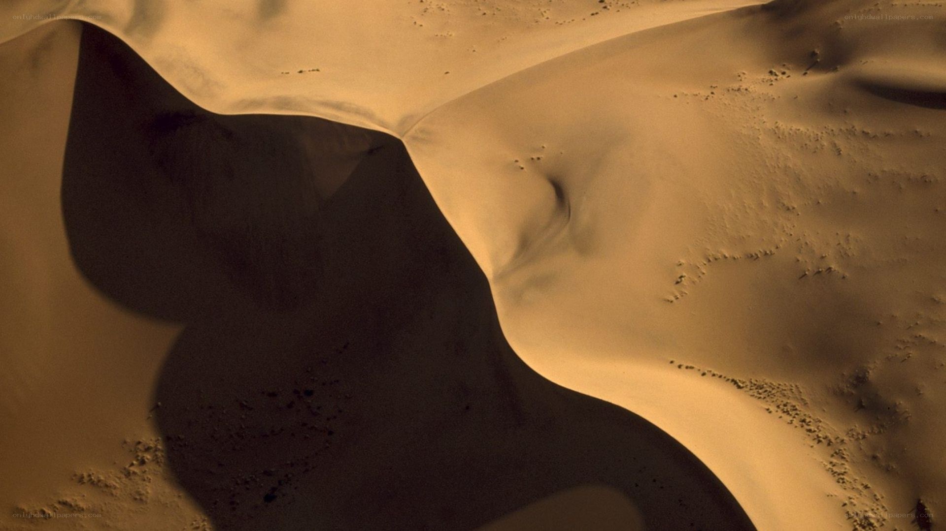 sand dunes at sunset