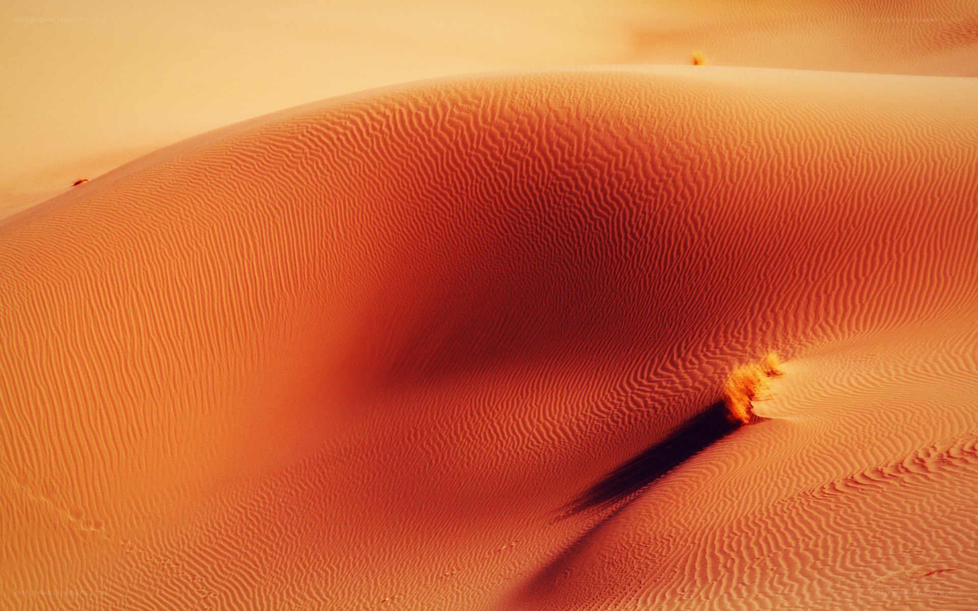 Sand dunes at sunset