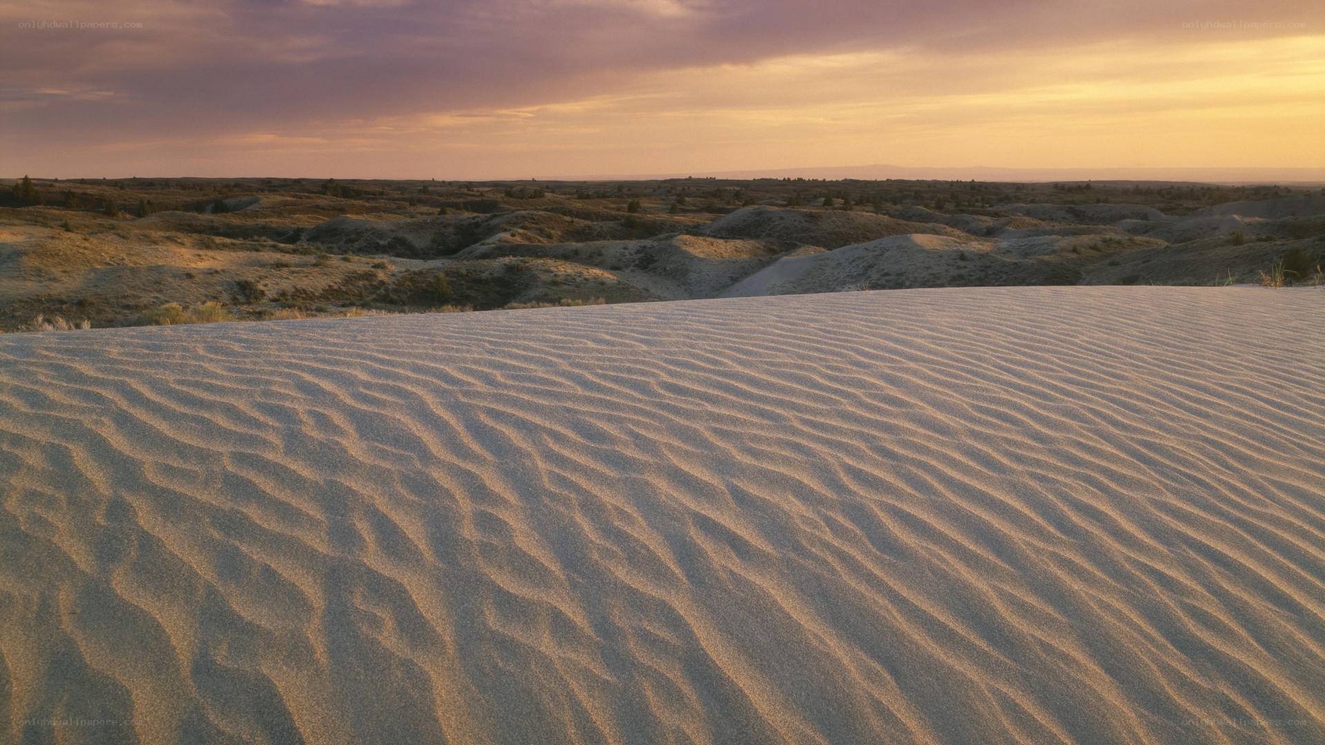 sand dunes at sunset