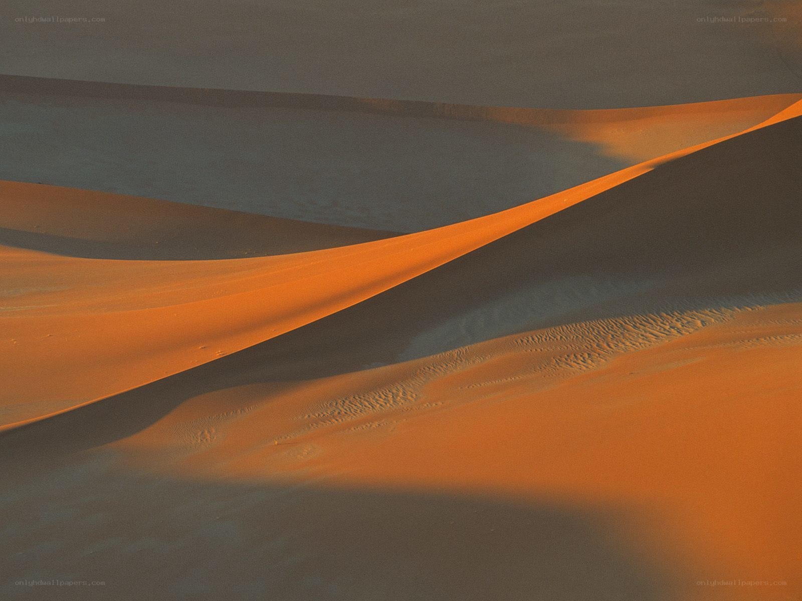 Sand dunes at sunset
