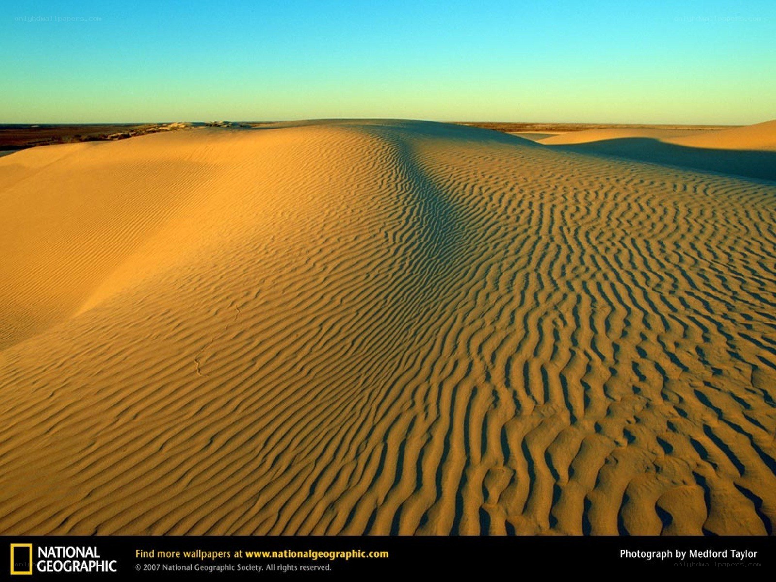 Sand dunes at sunset