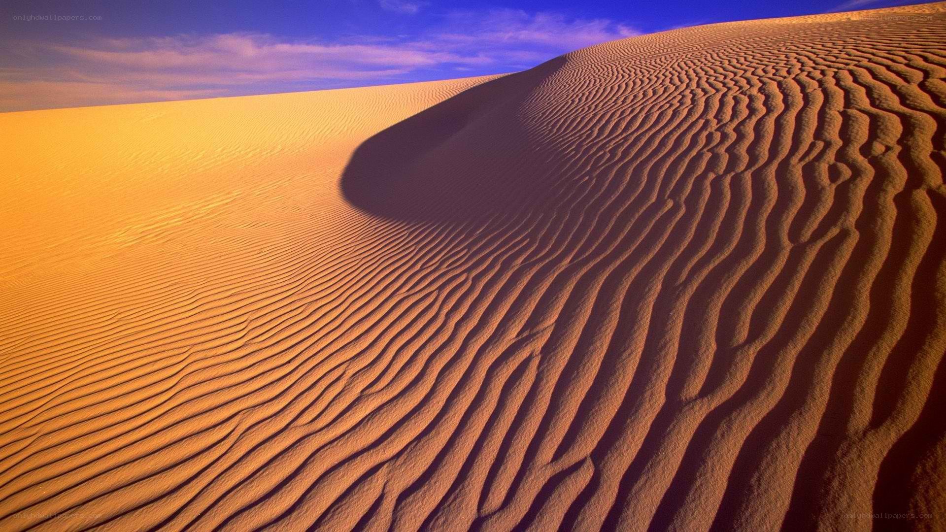 Sand dunes at sunset