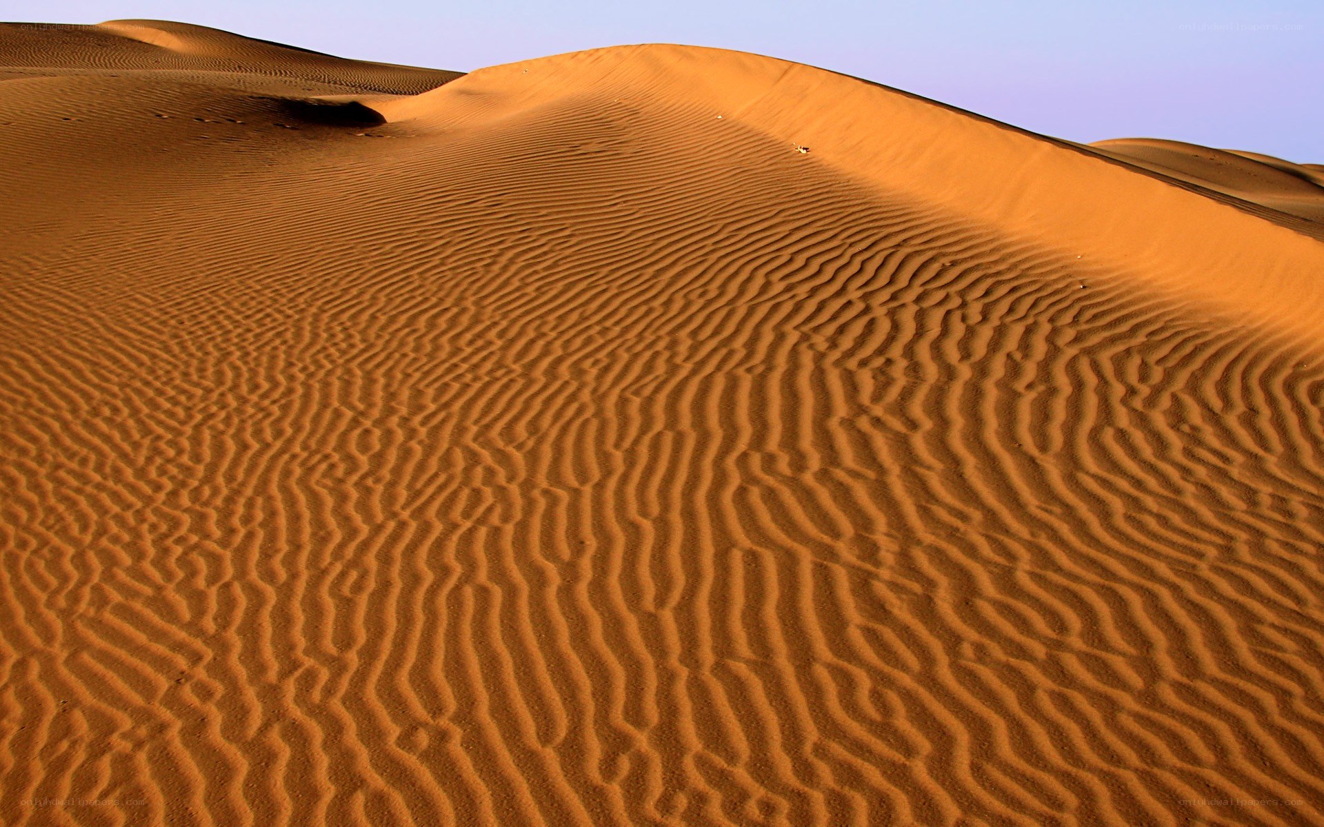Sand dunes at sunset