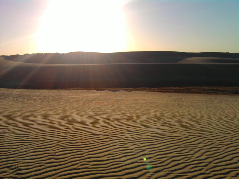 Sand Dunes at Sunset — Brown, Serene