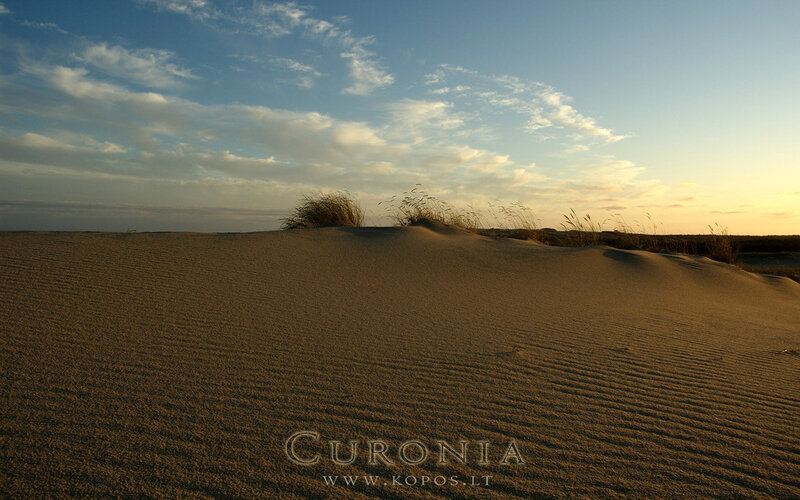 Sand Dunes at Sunset — Brown