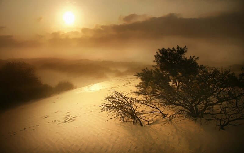 Sand Dunes at Sunset — Gold