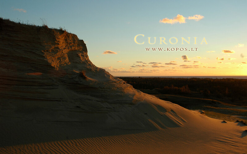 Sand Dunes at Sunset — Orange, Serene, Photograph, Forest