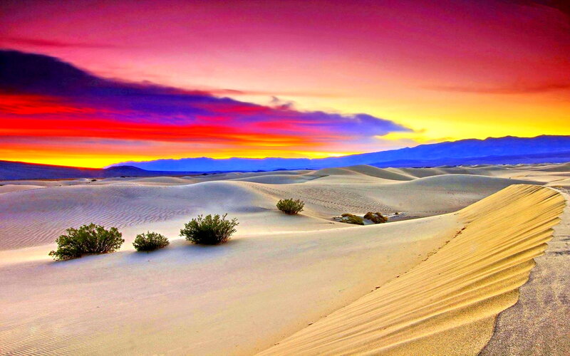 Sand Dunes at Sunset — Purple, Dramatic, Photograph, Bushes