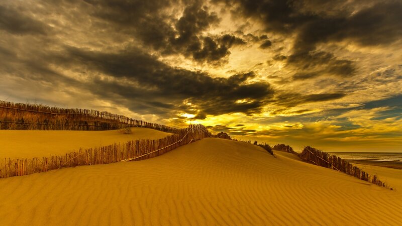 Sand Dunes at Sunset — Yellow, Dramatic
