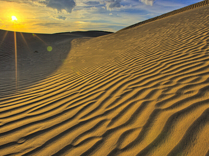 Sand Dunes at Sunset — Yellow, Serene, Photograph