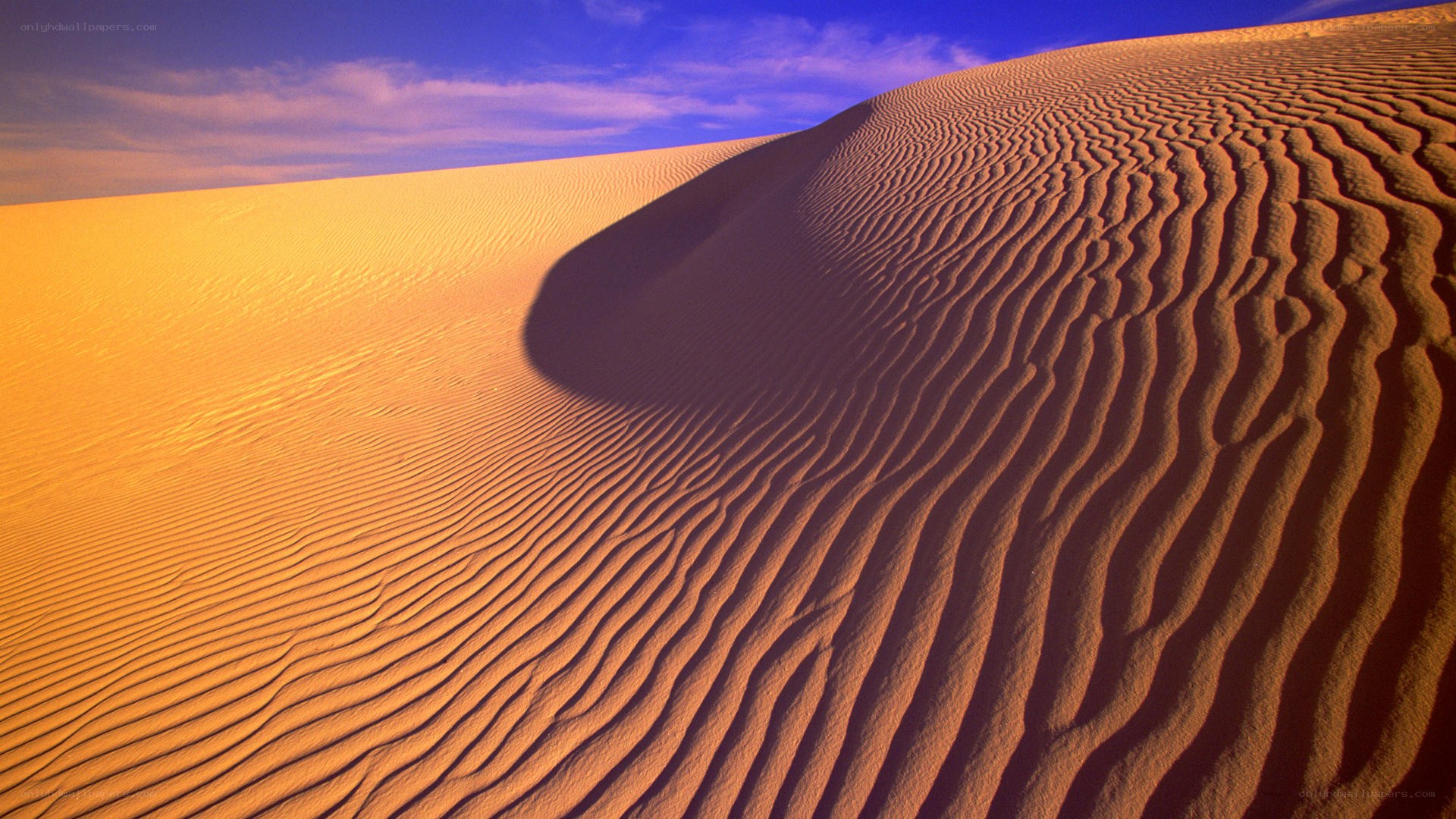Sand dunes at sunset